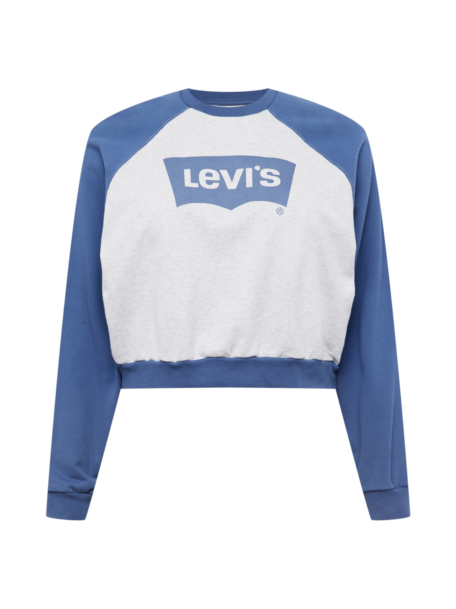 Levi's® Plus Tréning póló  kék / szürke melír