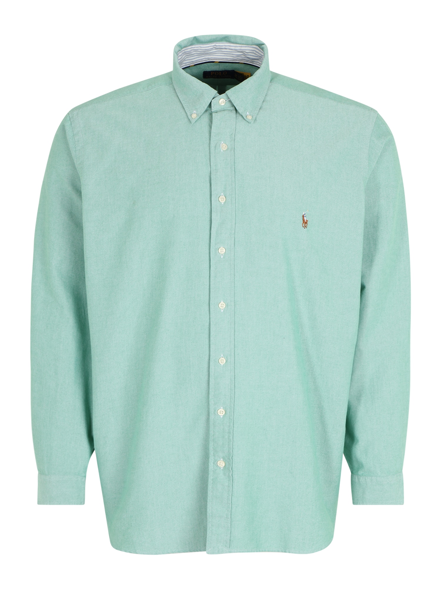 Polo Ralph Lauren Big & Tall Ing  menta / barna / fehér / galambkék